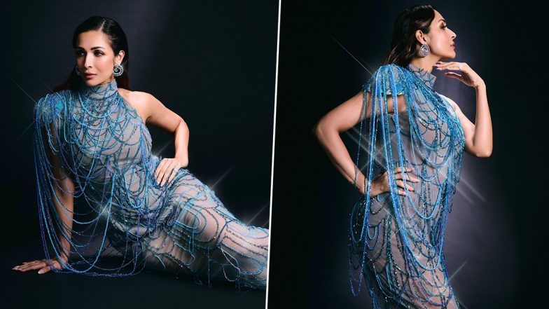 Malaika Arora Sizzles in Sheer Stringy Blue Dress, Stuns Fans With Sultry Instagram Photos!