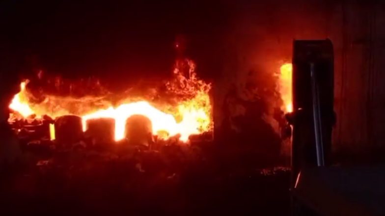 Punjab Fire Video: Four Killed, 30 Injured After Massive Blaze Erupts in Pharmaceutical Factory in Amritsar; Rescue Operations Underway