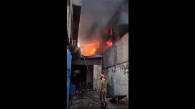 Delhi Fire: Massive Blaze Erupts at Plastic Factory Near Udyog Nagar Metro Station (Watch Video)