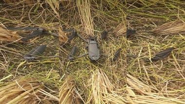 Punjab: BSF Recovers China-Made Drone From Farming Field in Amritsar (See Pic)