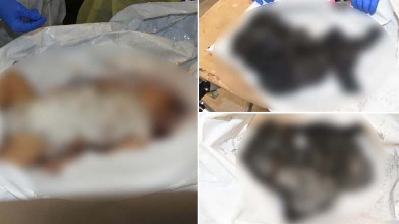 Israel PM Benjamin Netanyahu Shows Horrifying Photos of 'Babies Murdered, Burned by Hamas Monsters' to US State Secretary Antony Blinken