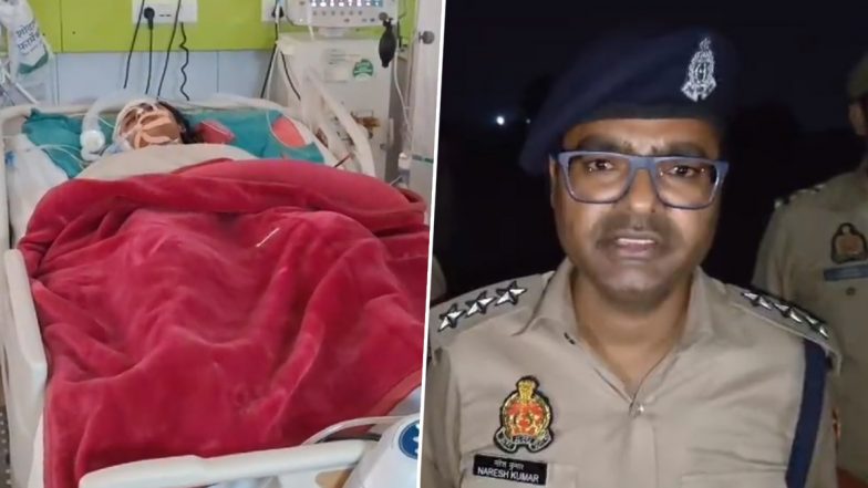 Ghaziabad: Girl Student Suffers Serious Head Injury After Falling From Rickshaw as Miscreants Snatch Her Mobile Phone; One Suspect Held, Another on Run (Watch Videos)