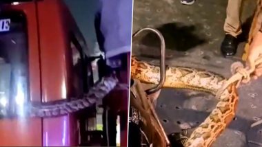Python Rescued From Truck in Noida: Police Sub-Inspector and His Team Use Rope-and-Sack Technique to Rescue Giant Snake (Watch Video)