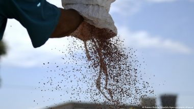 Soy Farming May Be Causing Child Cancer Deaths in Brazil