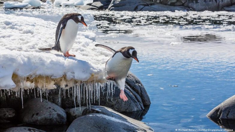 Antarctica: What's the Big Deal over Resource Exploitation?