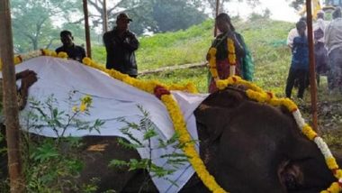 Tamil Nadu: Retired ‘Kumki’ Elephant ‘Moorthy’ Dies in Theppakadu Rehabilitation Camp