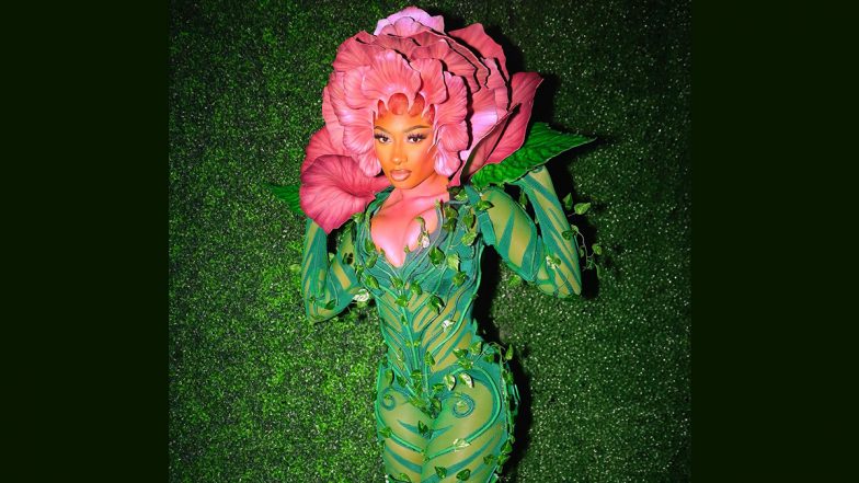 Megan Thee Stallion Blooms As Enchanting Alice in Wonderland Flower for Her 'Hottieween' Tim Burton Themed Bash! (View Pics)