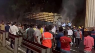 Pune Truck Fire: Truck Goes Up in Flames After Hitting Container Near Navale Bridge, Four Including Two Minors Killed in Accident; Photos and Videos Surface