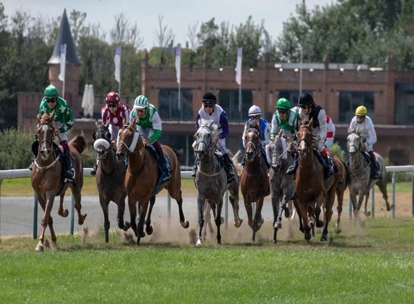 Sports News | Asian Games: Vikas Kumar Finishes Fourth in Equestrian Event Jumping Final