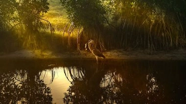 Science News | Coastal Regions Yield Significant Economic, Biodiversity Gains: Study