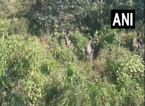 India News | Army-Police Joint Operation Underway in J-K's Rajouri to Counter Terrorists