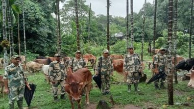 India News | Meghalaya: BSF Rescues 74 Head of Cattle on International Border in East Khasi Hills