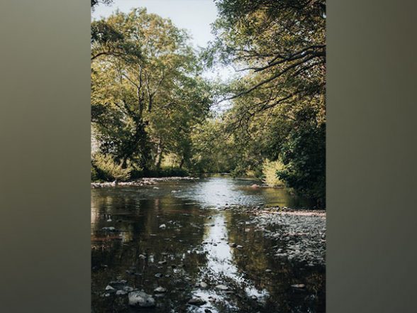 Science News | Increased Saline Spells Trouble for Freshwater Insects Like Mayflies: Study - Vimarsana News