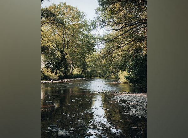 Science News | Increased Saline Spells Trouble for Freshwater Insects Like Mayflies: Study