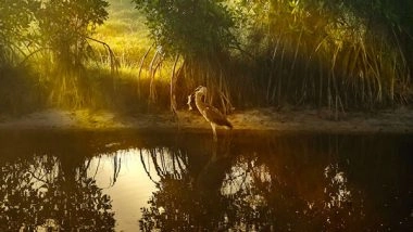 Science News | Coastal Areas Produce Substantial Economic, Biodiversity Gains: Study