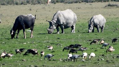 India News | Assam: Training Programme on Rhino DNA Indexing System Held at Kaziranga National Park