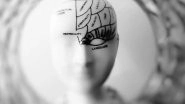 Science News | Thalamus Regulates Adult Brain Plasticity: Study