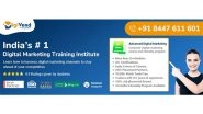 Business News | Unleash Your Digital Marketing Potential with DigiVend Training Institute