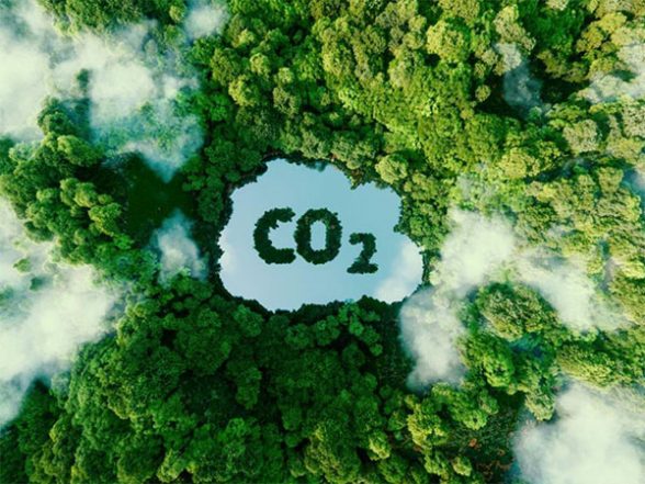 Business News | India's New Market for 'Green Credits': A Promising Initiative for Environmental Sustainability Insight by LIBF India - Vimarsana News