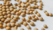 Science News | Study Finds New Method to Measure Ozone Stress in Soybeans