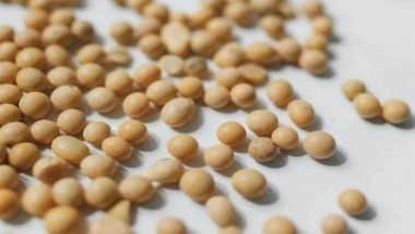 Science News | Study Finds New Method to Measure Ozone Stress in Soybeans