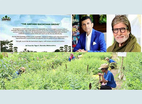 Business News | Anand Pandit Dedicates 8100 Trees to Amitabh Bachchan on the Superstar's 81st Birthday