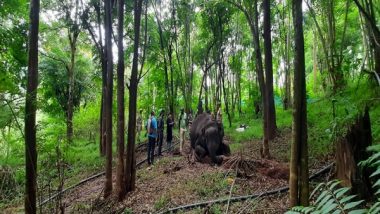 India News | TN: Female Elephant Found Dead in Mudumalai Tiger Reserve