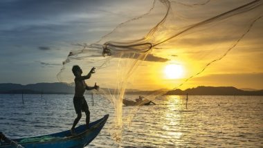 India News | Marine Mammal Conservation Crucial for India's Seafood Exports, Say Experts at Agricultural Science Congress