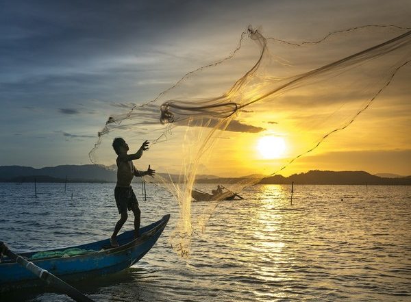 India News | Marine Mammal Conservation Crucial for India's Seafood Exports, Say Experts at Agricultural Science Congress
