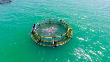 India News | Central Marine Fisheries Research Institute Proposes Mariculture Parks to Boost Coastal Fish Production