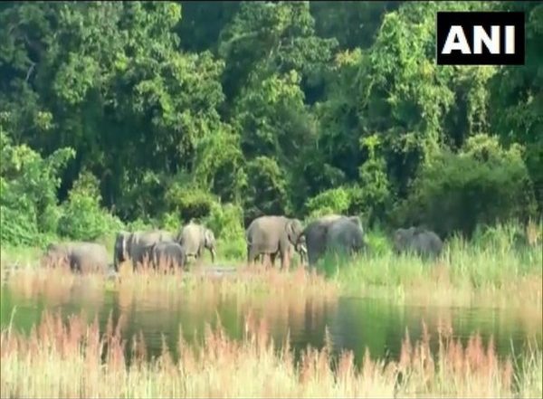 India News | Kaziranga National Park Opens for Tourists in 2023-24 Season