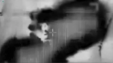 World News | IDF Eliminates Another Senior Hamas Commander in Airstrike