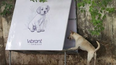 Business News | Vibrant Spaces' Innovative Approach to A Safer Chennai for Canines