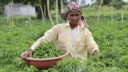 Business News | WOTR Catalyses Agricultural Transformation: Jalna's FPOs Record Rs 3.43 Crores Turnover in Merely Four Months