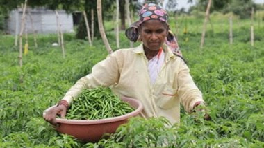 Business News | WOTR Catalyses Agricultural Transformation: Jalna's FPOs Record Rs 3.43 Crores Turnover in Merely Four Months