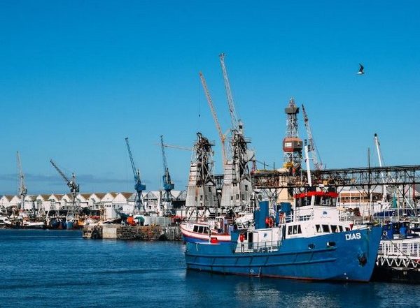 Science News | Soil Transported by Marine Freight, Laden with Harmful Pests and Diseases: Study