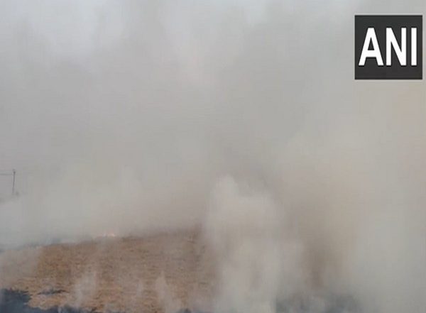 India News | As Delhi's AQI Turns 'very Poor', Stubble-burning Incidents Reported in Haryana