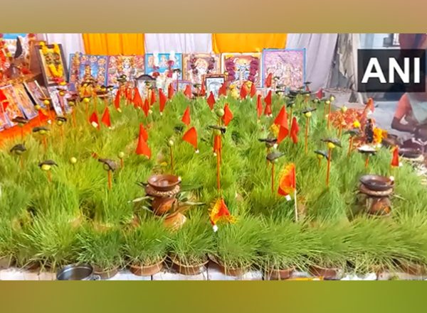 Navratri 2023: Devotee Worship 'Jawar' on Last Day of Nine Days Festival at Balaji Temple in Chhatarpur (Watch Video)