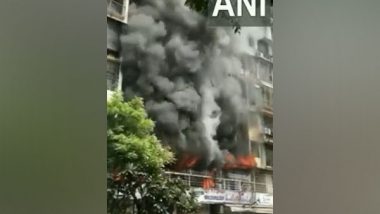 Mumbai: Two Dead, Three Hurt in Fire in Nine-Storey Pavan Dham Veena Santur Residential Building Flat in Kandivali