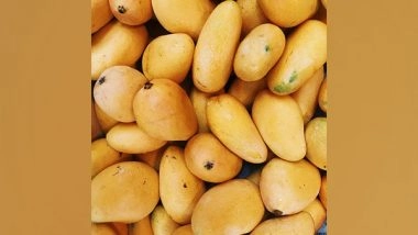 Business News | Indian Mango Exports Reach New Heights, Surging 19 Per Cent to USA in 2023-24