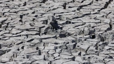 India News | BJP to Conduct Study Tour for Assessing Drought Situation in Karnataka