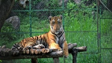 India News | Uttarakhand Govt to Establish Rajaji Tiger Reserve Conservation Foundation