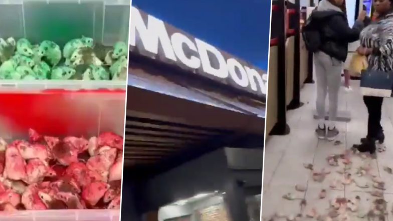 Pro-Gaza Protester Throws Rats Into Birmingham McDonald's, Shouts 'Free Palestine' Amid Conflict Between Israel and Hamas (Watch Video)