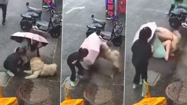 Woman Approaches and Pets Random Dog On the Street, Gets Brutally Attacked by the Animal (Watch Video)