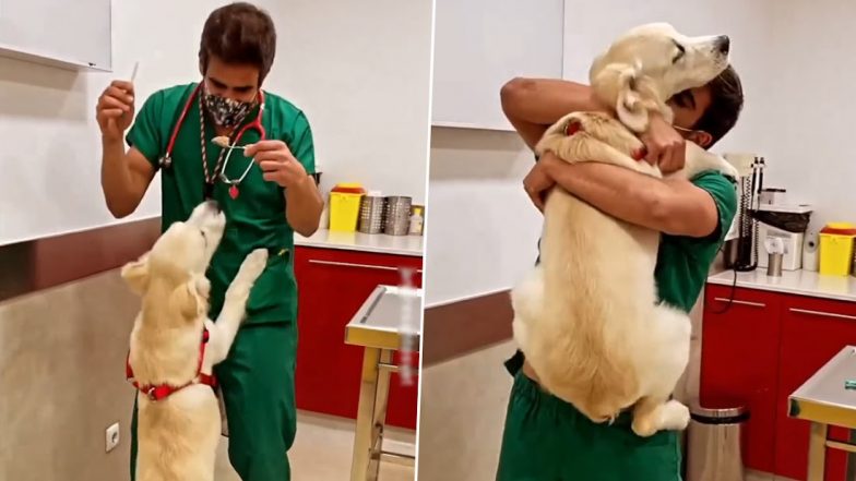 Veterinary Doctor Dances With Dog to Distract Him Before Giving Vaccine, Cute Video Goes Viral