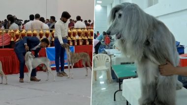 Madurai Dog Show Video: 300 Canines Belonging to 55 Breeds From Southern States Attract Many Pets Lovers