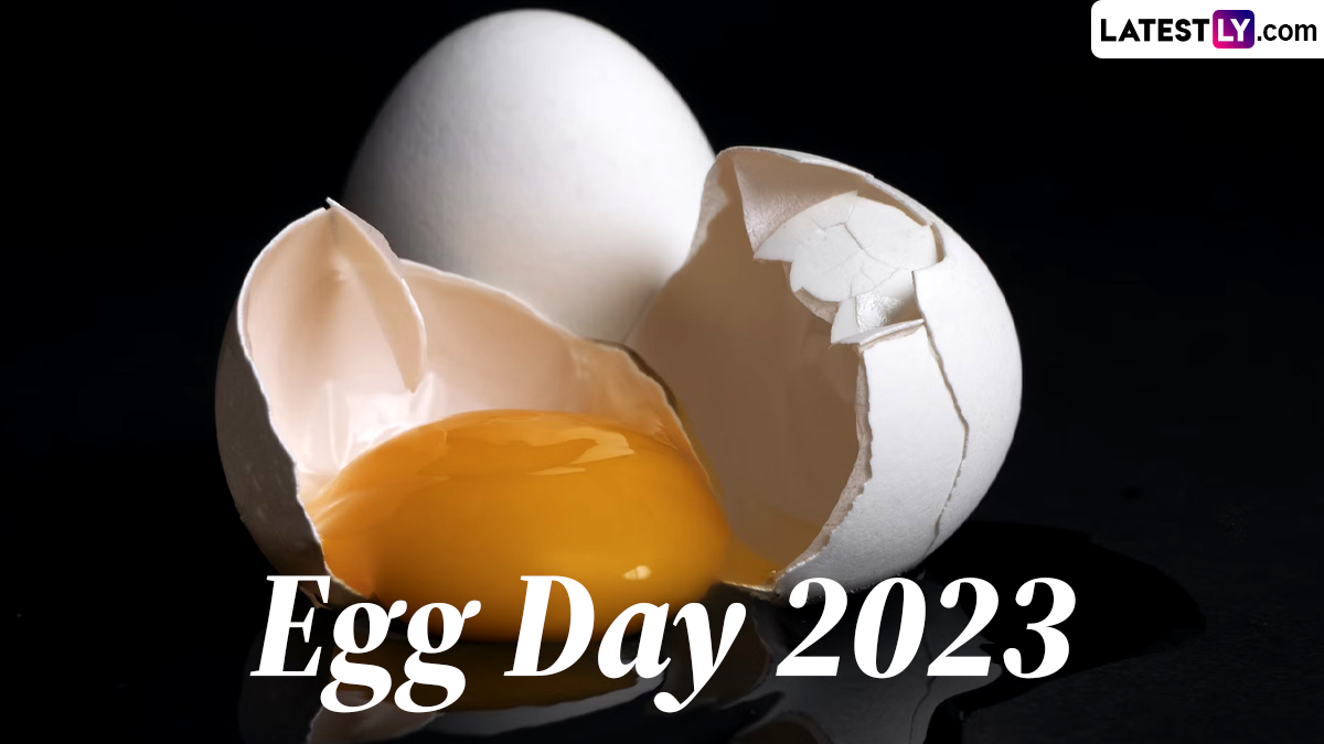 Egg Day 2023 
