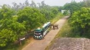 Elephant Attack in West Bengal: Angered by Death of Cub, Mother Elephant Kills Two, Attacks Bus in Jhargram (Watch Video)
