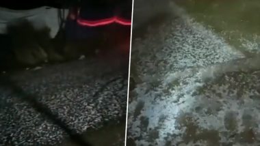 Jammu and Kashmir: Several Areas of Kulgam District Experience Hailstorm As Change in Weather Brings Respite From Heat (Watch Video)