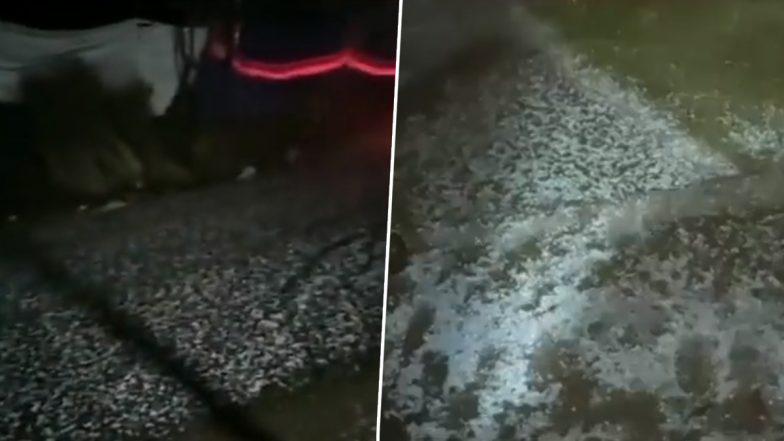 Jammu and Kashmir: Several Areas of Kulgam District Experience Hailstorm As Change in Weather Brings Respite From Heat (Watch Video)